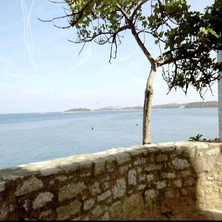 Apartment Giulio - 10Mt To The Beach Rovinj Bagian luar foto